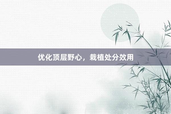 优化顶层野心，栽植处分效用